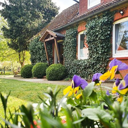 Am Alten Haus Altenmedingen Luaran gambar