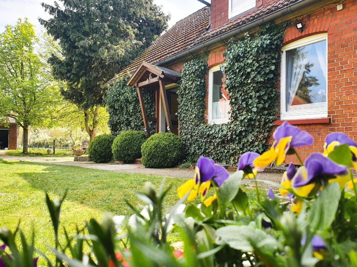 Am Alten Haus Altenmedingen Luaran gambar
