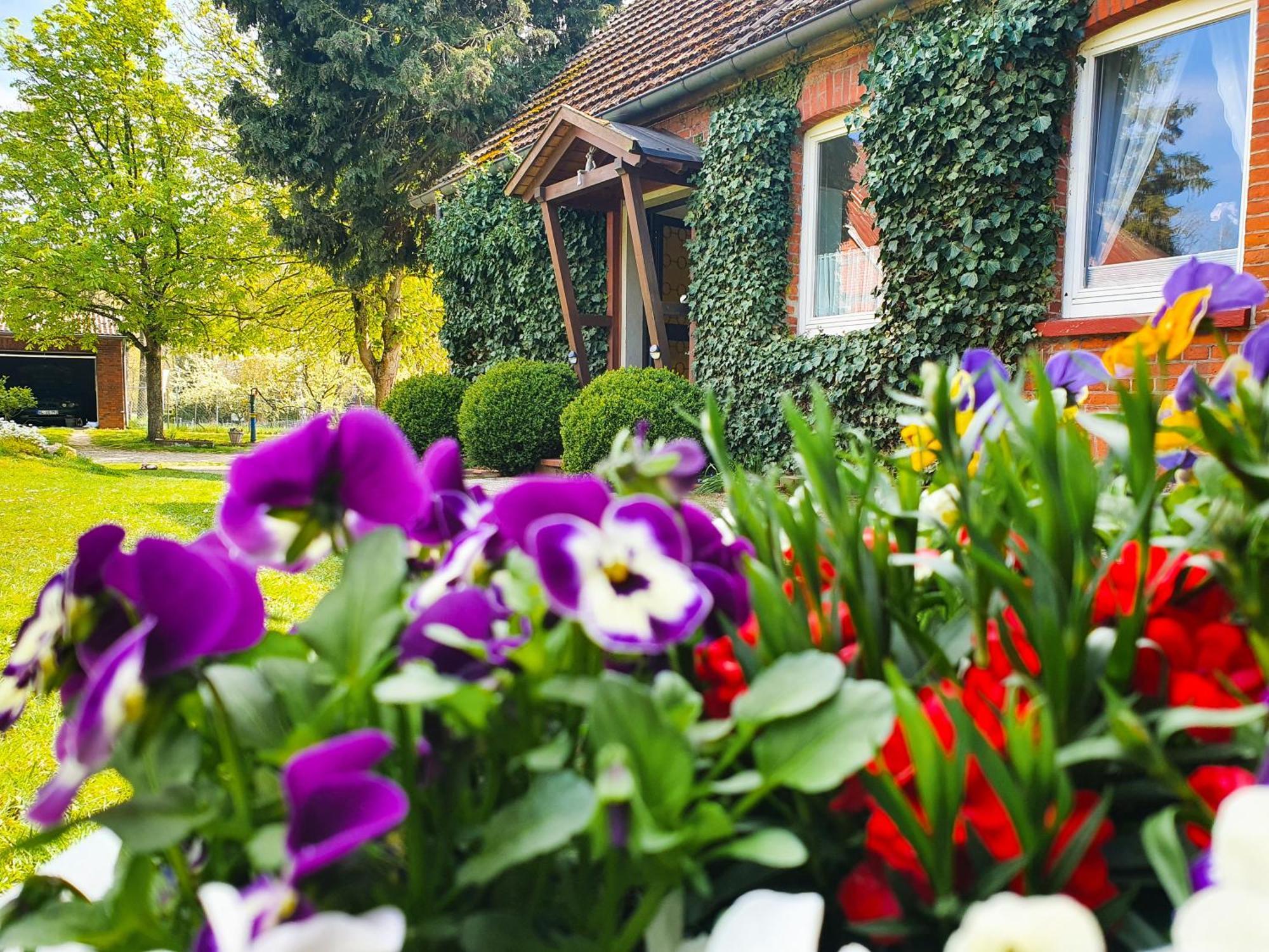 Am Alten Haus Altenmedingen Luaran gambar